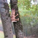 Bonhomme nichoir