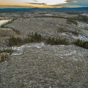 En Suède, l exploitation intensive des forêts remise en question