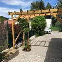 Une treille pour la bignone