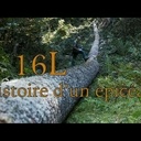 Un violoncelle : ce qui précède sa naissance