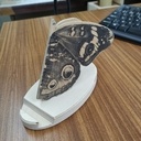 Un support smartphone qui papillonne