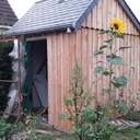 Petite cabane de jardin (comme une grande!)