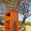 Tabouret  Baobab