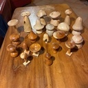 Fricassée de champignons