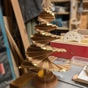 Sapin chêne et sipo