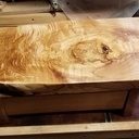 Érable de Norvège (de Montréal)