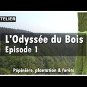 L'odyssée du bois