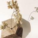 ´Quercus’ - soliflore