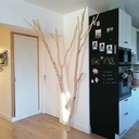 Arbre à chat en noisettier