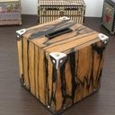 Tirelire    facon " malle"