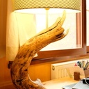 Quelques pieds de lampe