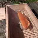 Fumoir, fumée froide