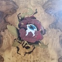 Botanical eyes (Yeux Botaniques)