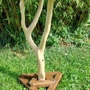 Guéridon live edge