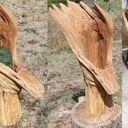 Premiere realisation