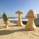 De p'tits champignons à la main