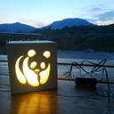 Veilleuse bois panda