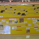 Idem pour le titre et les animaux ctp 5mm