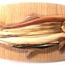 Le poisson des étangs de Sologne