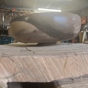 Un petit bout de noyer