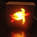 Lampe Tortue
