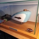 Réservoir Harley Davidson en Chêne