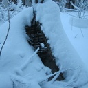 Petit projet d'été, une cabane