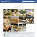 Un banc dans un tronc