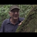 Les excréments des plantes