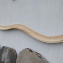 Support mural pour votre bike