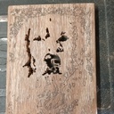 Light Box Golden Retriever