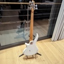 Guitare Basse 5 cordes