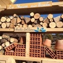 La maison aux insectes