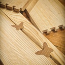 Incrustation des papillons