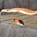 Rabot guillaume infill