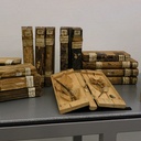 Les xylothèques : ranger les arbres sur des étagères