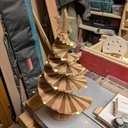 Sapin chêne et sipo