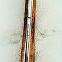 J'aime le genévrier !