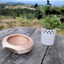 Recherche de la brutitude