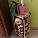 Excroissances prélevées sur de vieux chenes