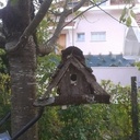 Nichoir à oiseaux amélioré