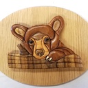 Médaillon tête ours