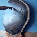 Table folle / dingue  ...