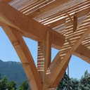 Et une petite pergola tordue