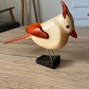 Un cardinal blanc