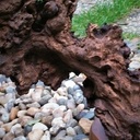 Juste parce que c'est beau