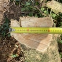 Lot de Buis de pays Grumes de 5 à 20 cm