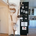 Arbre à chat en noisettier