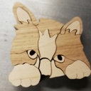 Le chat dans son couffin