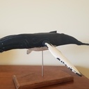 Sculpture d’une baleine à bosse.